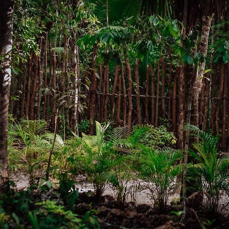 Lunita Jungle Experience Hotel ปัวร์โตโมเรลอส ภายนอก รูปภาพ