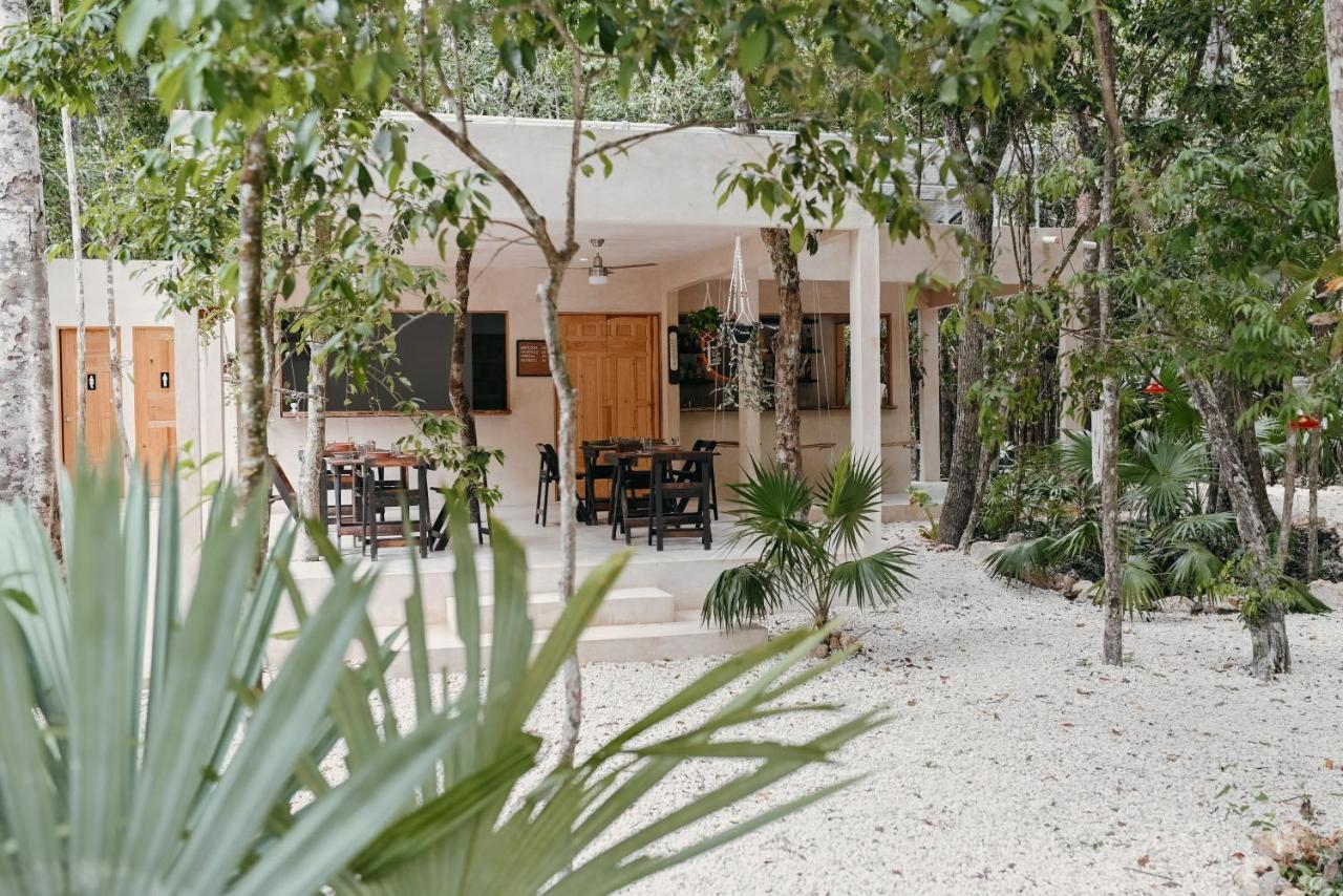 Lunita Jungle Experience Hotel ปัวร์โตโมเรลอส ภายนอก รูปภาพ