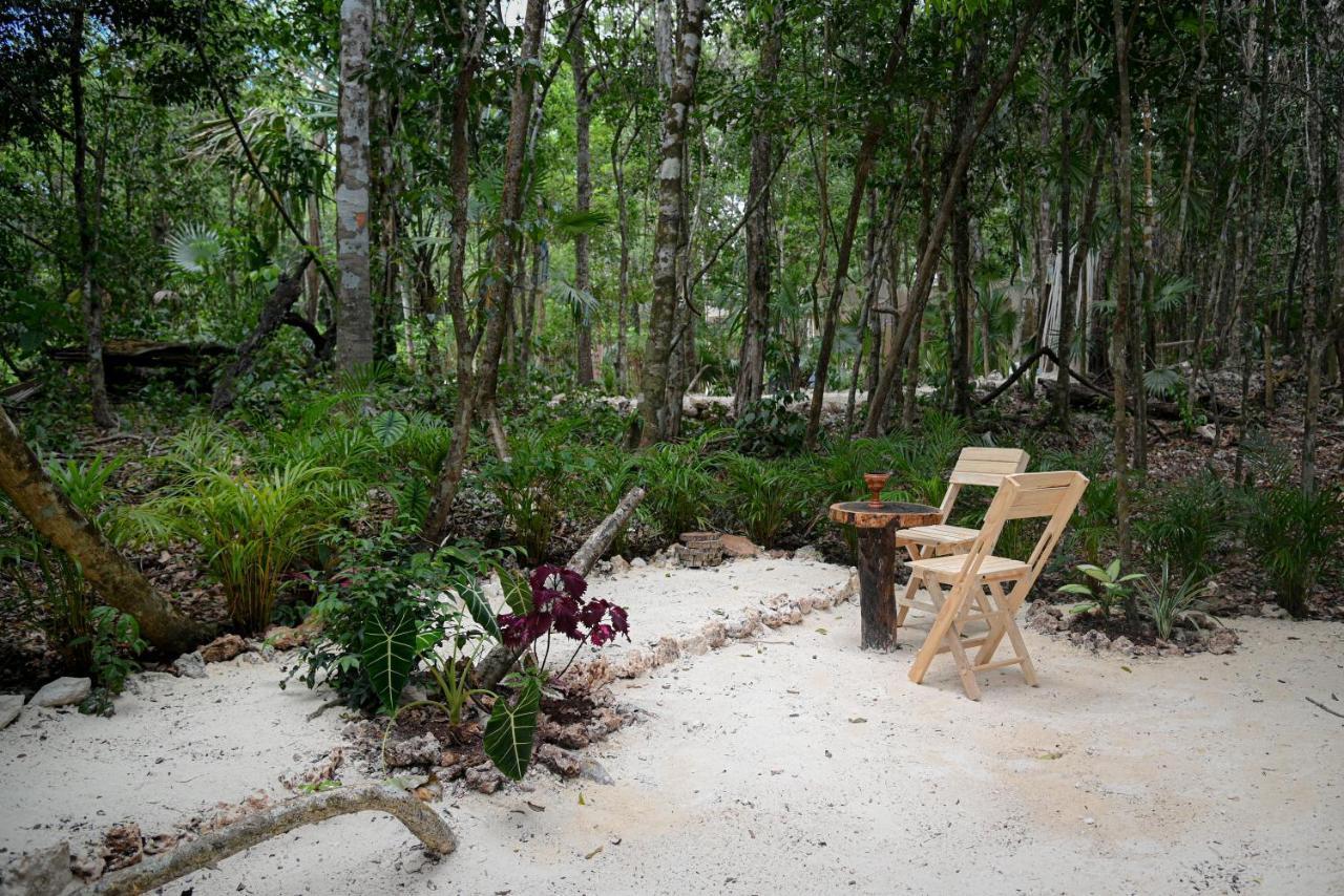 Lunita Jungle Experience Hotel ปัวร์โตโมเรลอส ภายนอก รูปภาพ