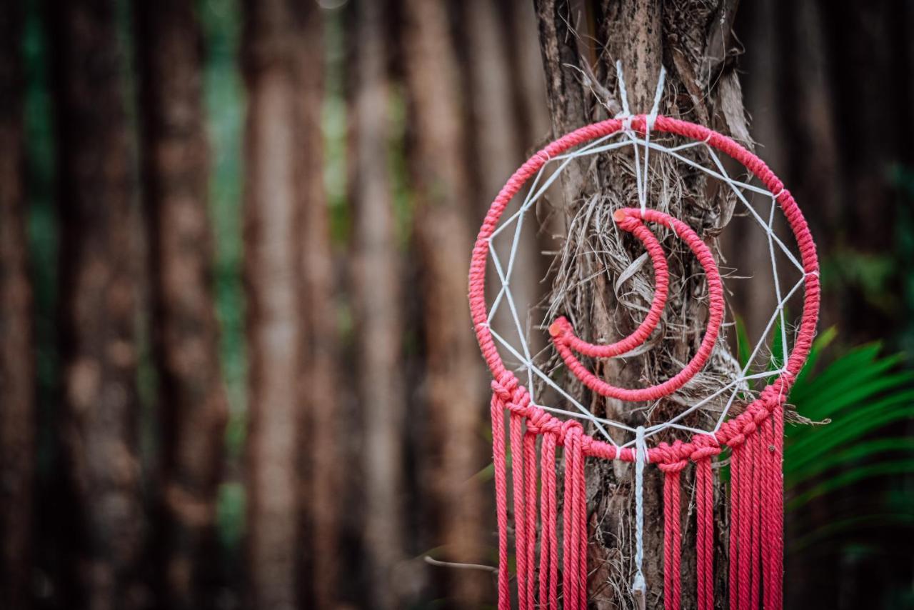 Lunita Jungle Experience Hotel ปัวร์โตโมเรลอส ภายนอก รูปภาพ