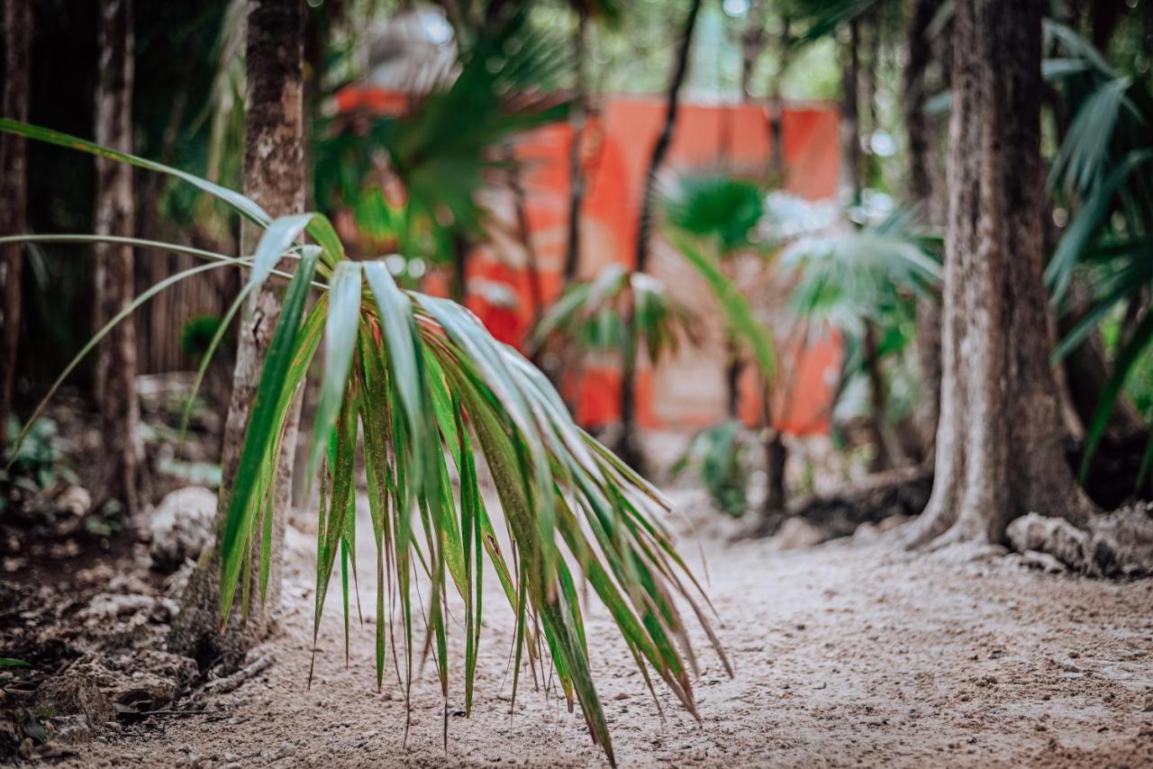 Lunita Jungle Experience Hotel ปัวร์โตโมเรลอส ภายนอก รูปภาพ