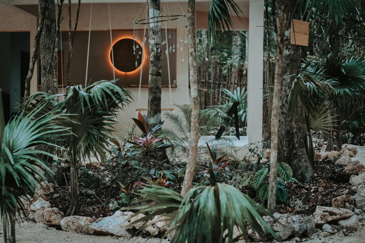 Lunita Jungle Experience Hotel ปัวร์โตโมเรลอส ภายนอก รูปภาพ