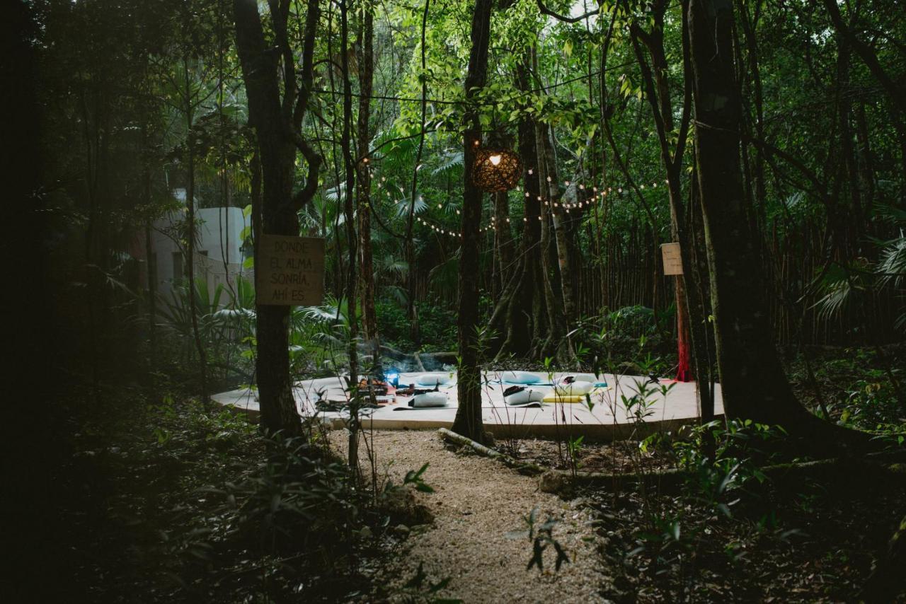 Lunita Jungle Experience Hotel ปัวร์โตโมเรลอส ภายนอก รูปภาพ