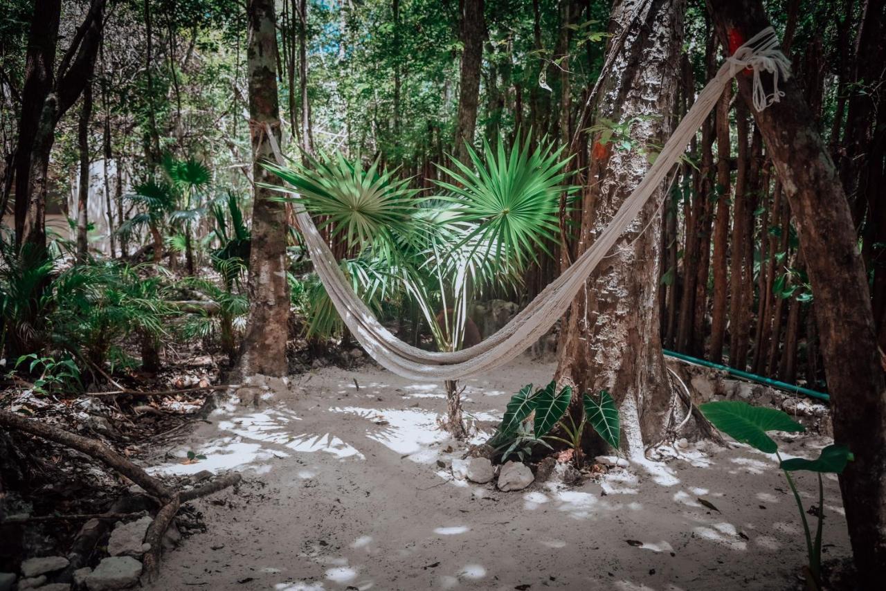 Lunita Jungle Experience Hotel ปัวร์โตโมเรลอส ภายนอก รูปภาพ