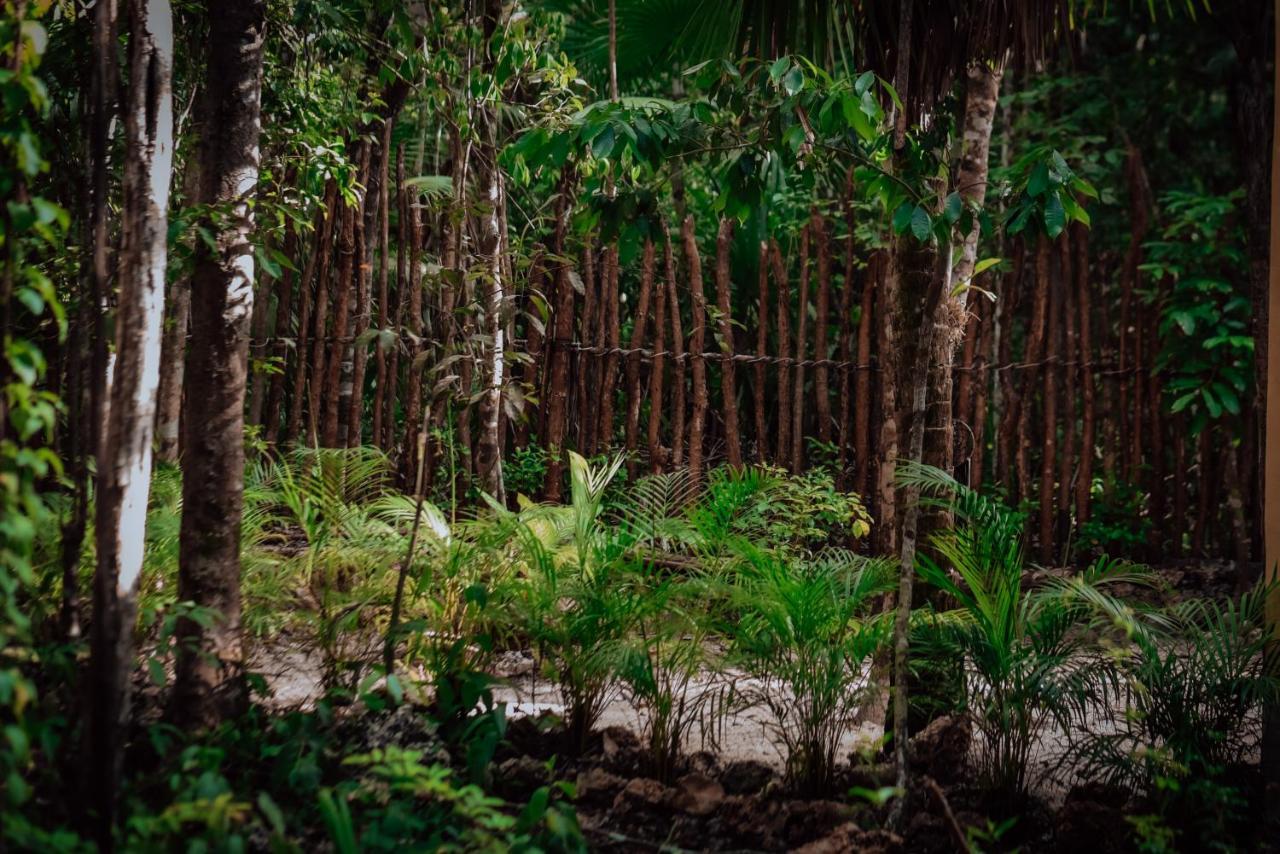 Lunita Jungle Experience Hotel ปัวร์โตโมเรลอส ภายนอก รูปภาพ