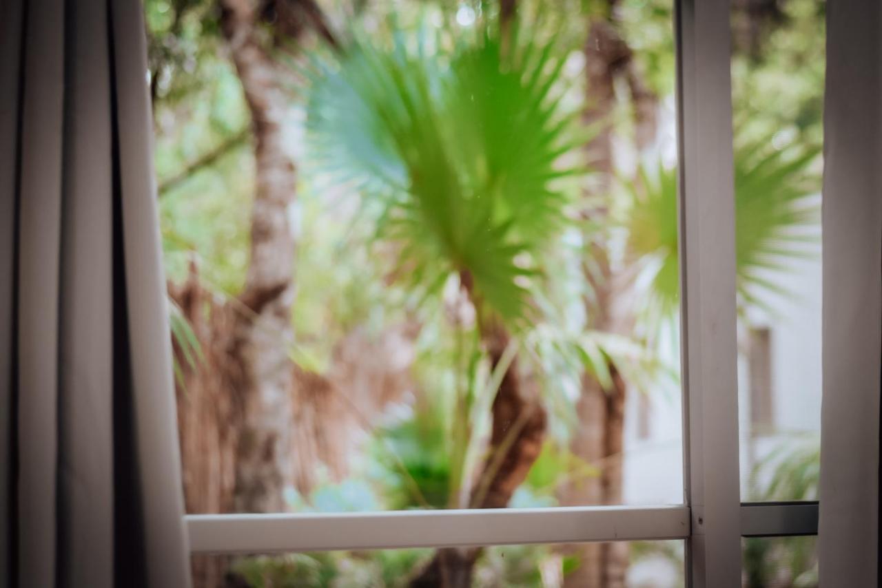Lunita Jungle Experience Hotel ปัวร์โตโมเรลอส ภายนอก รูปภาพ