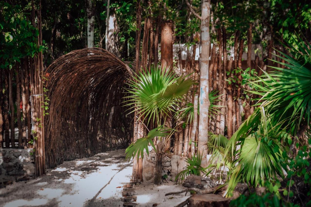 Lunita Jungle Experience Hotel ปัวร์โตโมเรลอส ภายนอก รูปภาพ
