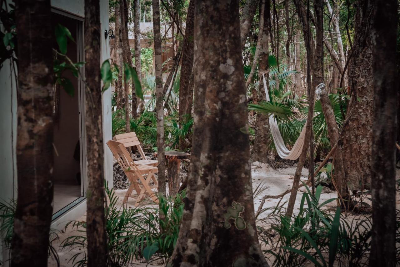 Lunita Jungle Experience Hotel ปัวร์โตโมเรลอส ภายนอก รูปภาพ